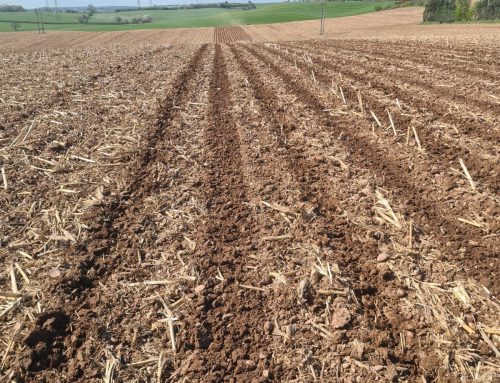 Newsletter May 2022 Issue 3- Strip Tilling