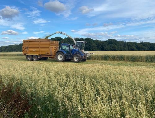 Newsletter April 2022 Issue 2 – Wholecrop Oats, Peas and Vetch
